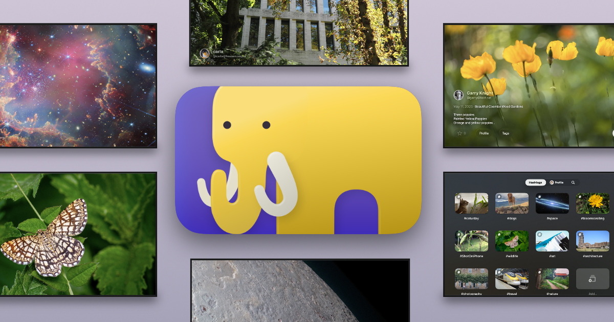 Crystal – Photo Viewer for Mastodon